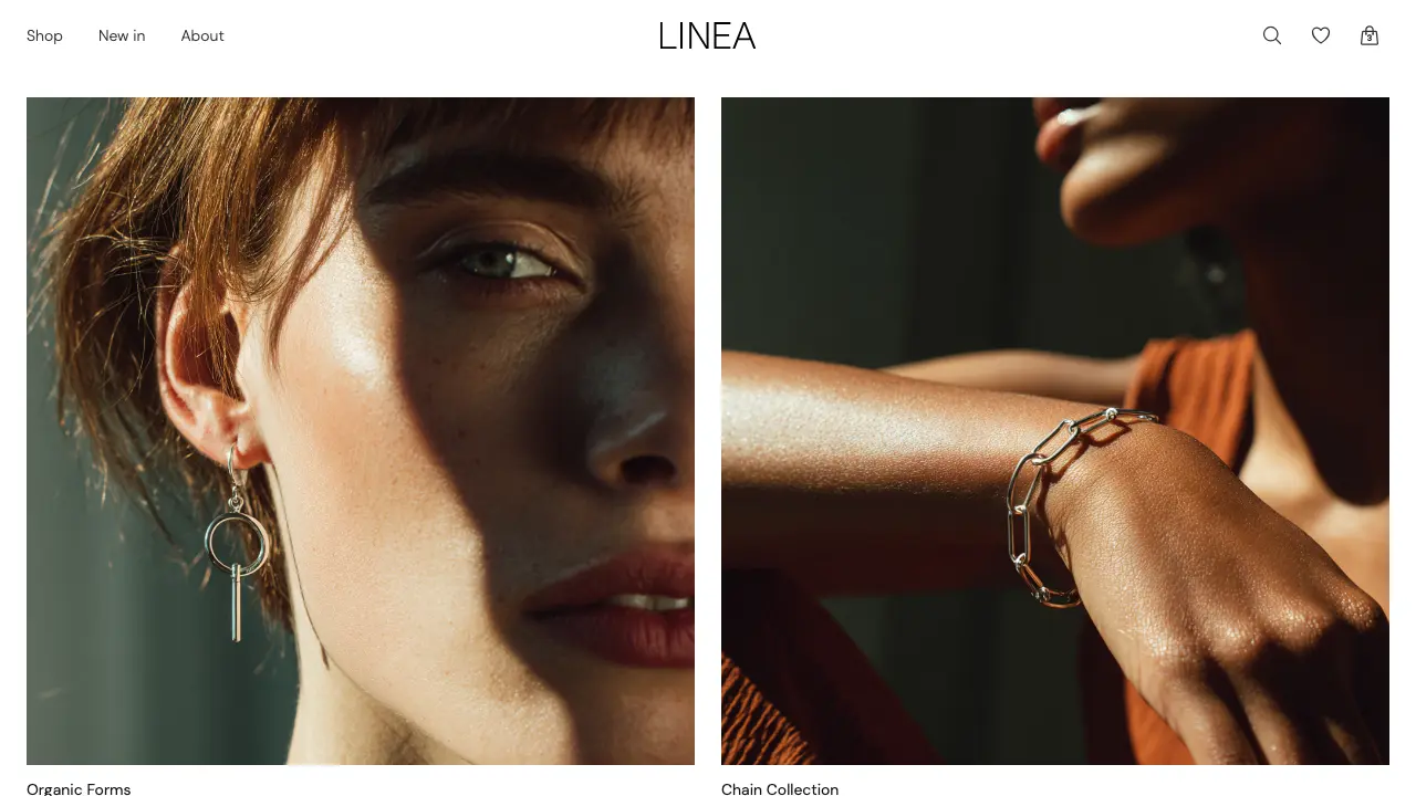 Screenshot of Ecommerce Store Website Template